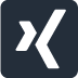 xing icon